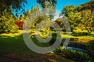 Enchanted colorful garden, Giardini di Ninfa, Latina, Rome