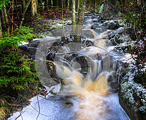 Enchanted creek in dark woods