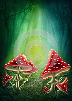 Enchanted dark forest photo