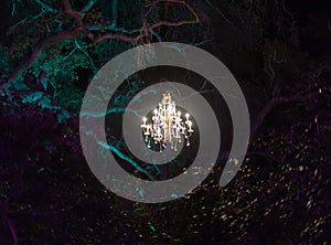 Enchanted forest - brightly lit chandelier magically hovering in the middle of the forest