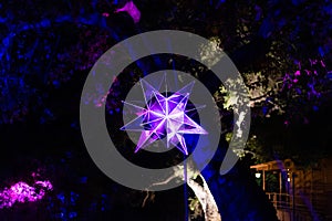 Enchanted: Forest of Light - shiny illuminated mirror star suspended in midair