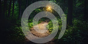 Enchanted Forest Path Magical Night Scene