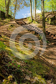 Enchanted Forest Path: Wooden Stairway Amidst Lush Green Forest