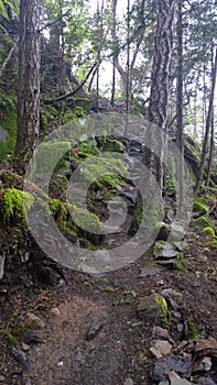 Enchanted Forest on Pender Island