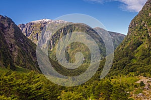 Enchanted Forest - Queulat National Park - Carretera Austral Chile, Patagonia photo