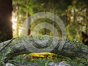 Enchanted forest unique bent tree background.