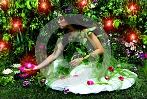 Enchanted Garden photo