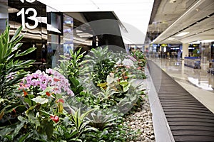 Enchanted garden at Changi international airport in Singapore. It serves more than 100 airlines