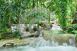 Enchanted gardens in Jamaica photo