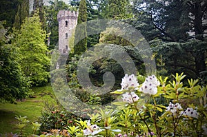 Enchanted Irish castle and garden