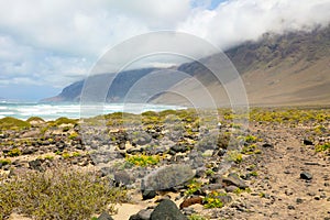 Enchanted landscape on Lanzarote Islands with stone and green yellow vegetation with Atlantic Ocean