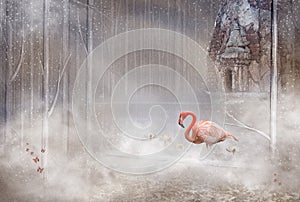 Enchanted mystical Flamingo