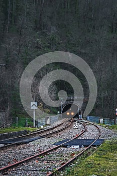 Enchanted Passage: A Train\'s Entrance into the Verdant Forest.