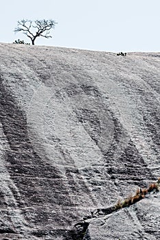 Enchanted Rock