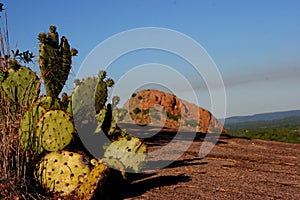 Enchanted Rock