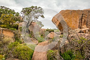 Enchanted Rock State Park