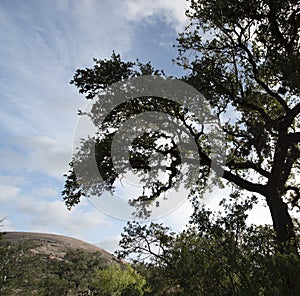 Enchanted Rock State Park, Texas