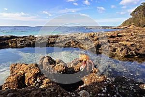 Enchanted Rockpool Jervis Bay