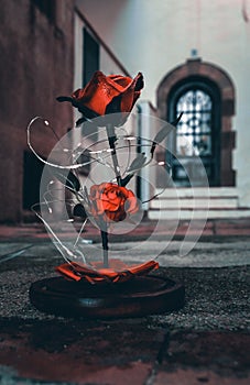 The Enchanted Rose from Beauty and the Beast