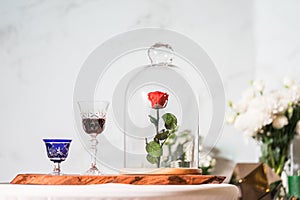 A enchanted rose in the glass covering.