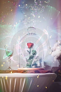 A enchanted rose in the glass covering.