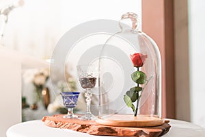 A enchanted rose in the glass covering.