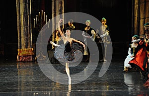 Enchanted sentient beings-The prince adult ceremony-ballet Swan Lake