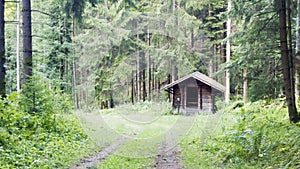 Enchanted Solitude: Jeannot Wood Shelter, A Hiker's Haven in the Heart of the Guebwiller Forest in Lautenbach-Zell, Alsace