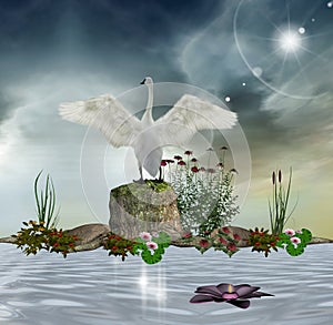 Enchanted swan photo