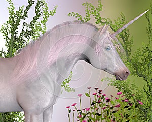 Enchanted Unicorn