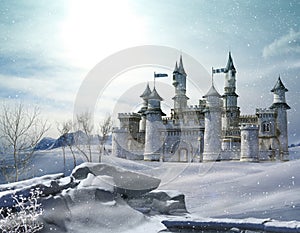 Enchanted Winter Fairytale Princess Castle