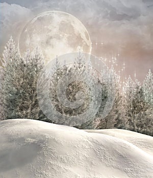 Enchanted winter forest photo