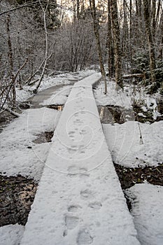 Enchanted Winter Trails: Snowy Wooden Pathways in Dobele\'s Latvian Forests