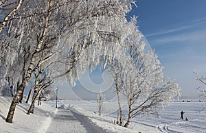 An enchanting beautiful walk in LuleÃ¥