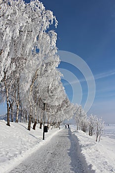 An enchanting beautiful walk in LuleÃ¥