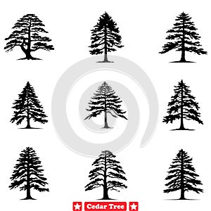 Enchanting Cedar Forest Captivating Silhouettes for Your Design Needs