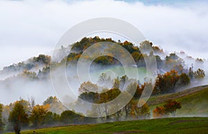 Foggy morning on the hill in the Italian countryside. Autumn landscape.