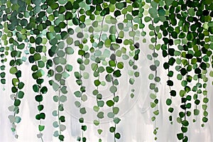 Enchanting Eucalyptus: A Nature-Inspired Tapestry of Green and W photo