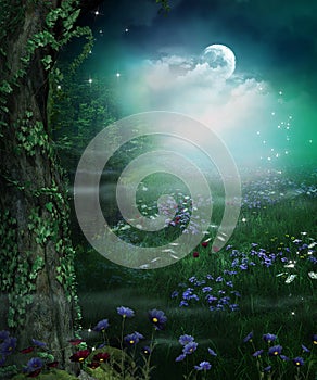 Enchanting Fairy Forest Opening at Night and Full Moon