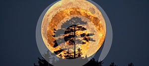 Enchanting full moon rising, illuminating lunar surface, embodying night s magic and mystery