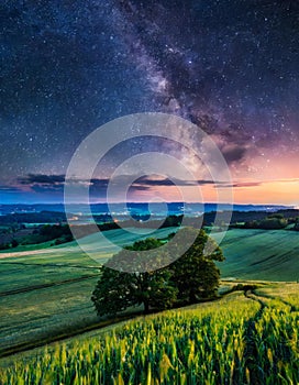 Enchanting nightscape with milky way and wheat fields