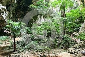 Enchanting tropical mountain cave