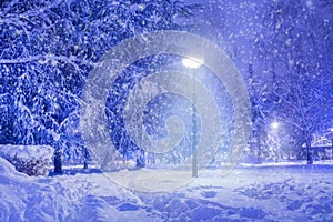 Enchanting Winter Evening: Snow-Covered Park and Shining Lanterns