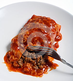 Enchilada beef salsa spicy photo