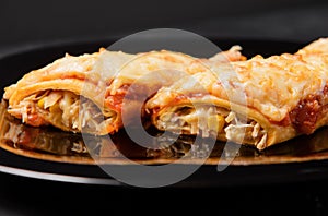 Enchilada on a black background