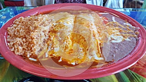 Tamale and enchilada combo photo