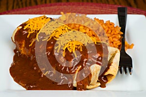 Enchilada with traditional sauce