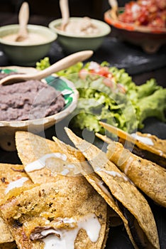 Enchiladas with Mexican dips in background