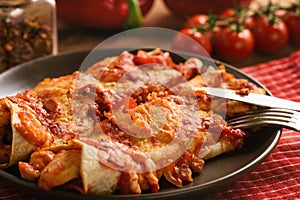 Enchiladas - mexican food, tortilla with chicken, cheese and tomatoes.