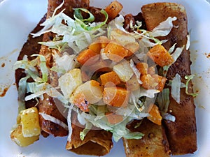 enchiladas mineras, typical mexican food of the state of Guanajuato